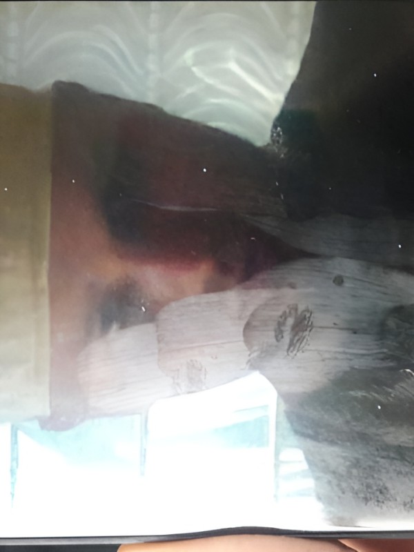 Тамара привлекательная девушка из Нижнего Тагила цена от 5000 руб